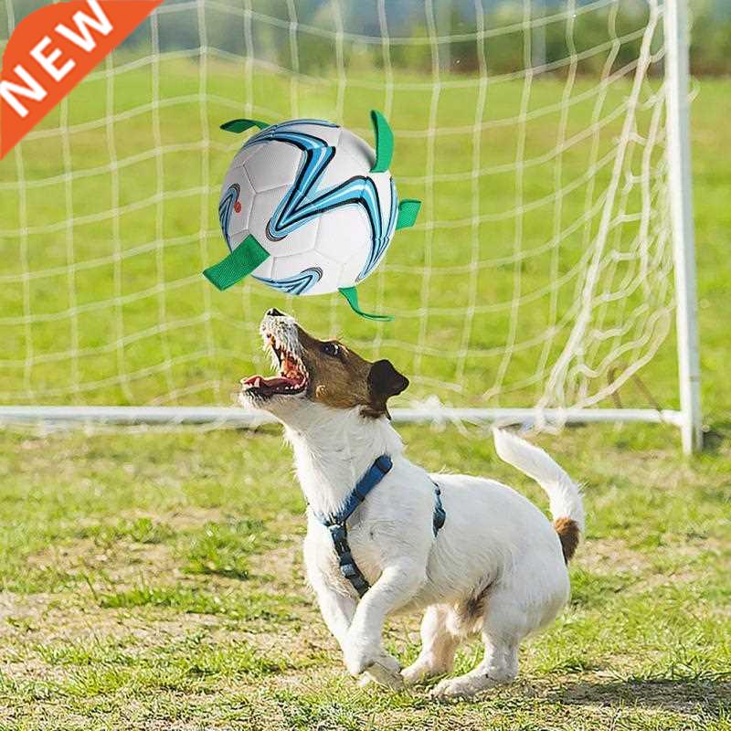 1pcs New Dog Toy Interactive Pet Soccer Ball Toys For Puppy