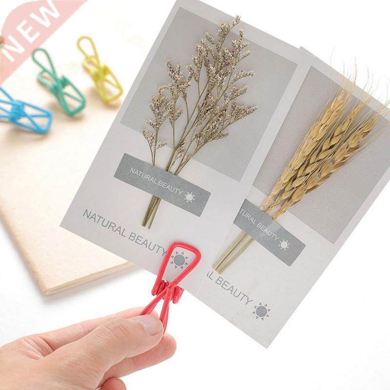 10pcs Sewing Tools Accessory Candy Color Clothes Pins Pegs