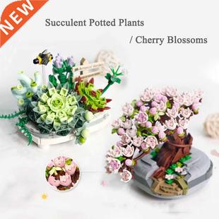 Bouquet Building Blocks Succulent Cherry Blossom Potted Mode