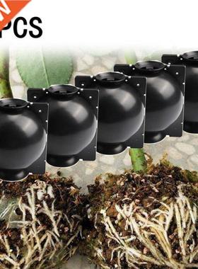 5pcs Plant Rooting Ball Grafting Propagation Growing Nursery