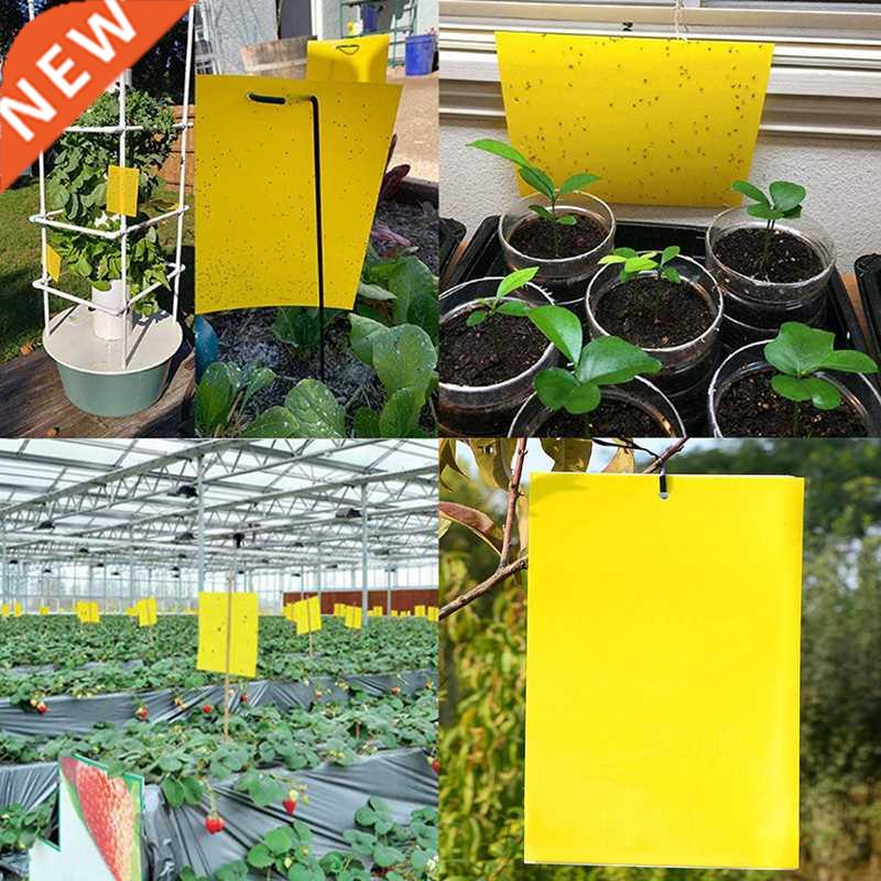 Home Yellow Greenhouse Sticky Traps Bugs Sticky Board Multip