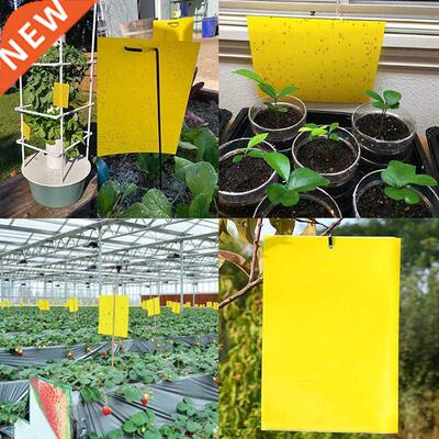Home Yellow Greenhouse Sticky Traps Bugs Sticky Board Multip