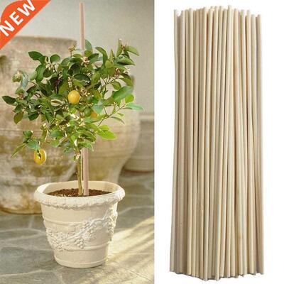 50 PCS Natural Wood plant sticks Wooden Popsicle Stick Ho