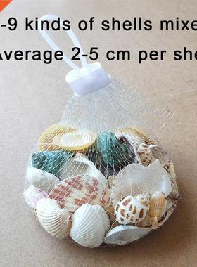 100g Mixed Ocean Sea Shells Wedding Decor Beach Theme