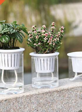 Flower Pot Transparent Self-Watering Plant Pot Creative Lazy