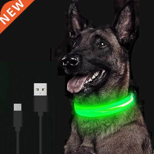 LED Glowing Dog Collar Rechargeable Luminous Collar justab