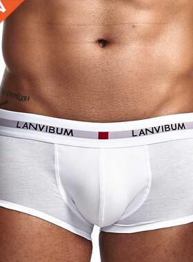 Boxershort Panties Man Boxers Comfort Underpants Modal Under