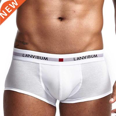 Boxershort Panties Man Boxers Comfort Underpants Modal Under