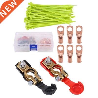 100X 2.5Mmx100mm Nylon Cable Wire Zip Ties & 8Pcs Copper Bat