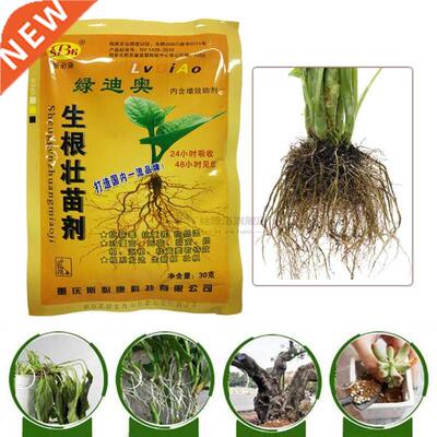 Cytokinin Plant Hormones Fertilizer Food Root Growth Cabbag