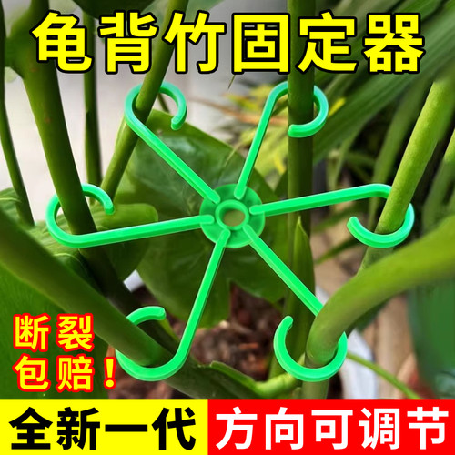 龟背竹固定器新款支撑杆防倒伏