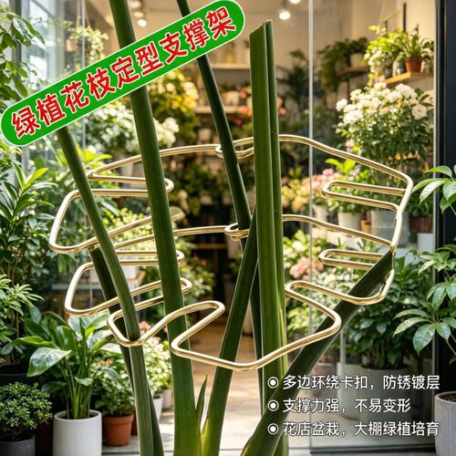 【植物定型支架】龟背竹支撑杆天