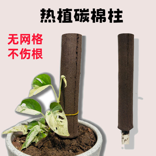 碳绵柱热植柱龟背竹热植引导生长