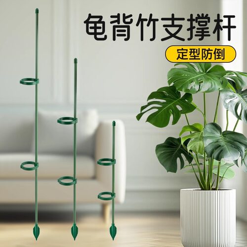 防倒伏支撑杆植物专用支架龟背竹