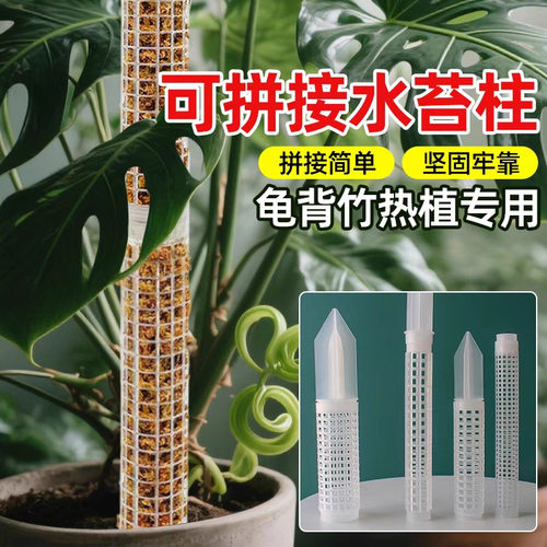水苔柱可拼接龟背竹爬藤植物攀附