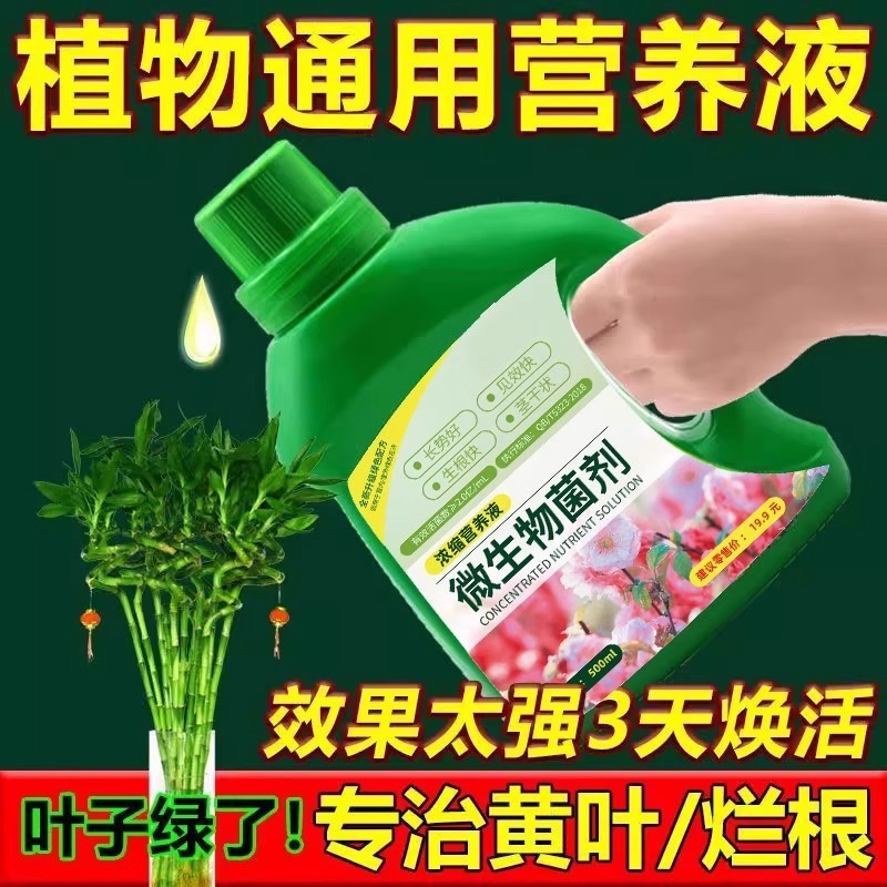 植物营养液养花通用型花肥水培化肥料家用绿植盆栽绿萝叶黄富贵竹