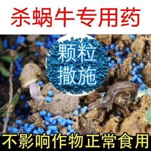 蜗牛特效药非洲大蜗牛药公园小区室内外专用灭软体虫鼻涕虫杀虫剂