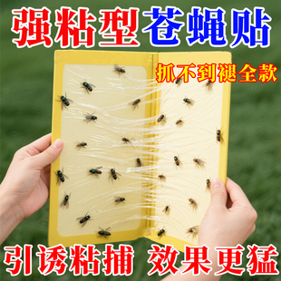 苍蝇贴强力粘蝇纸粘蝇板蚊子一扫光家用灭蝇子捕捉器克星飞虫果蝇