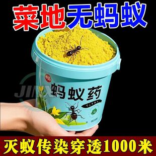 强效 蚂蚁药全窝端家用非无毒室内厨房户外菜地灭蚁窝端泡泡粉