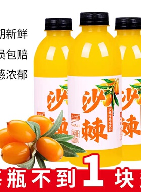 沙棘汁饮料【新品促销】新鲜沙棘爆款网红商超饮品360ml*6/12瓶装