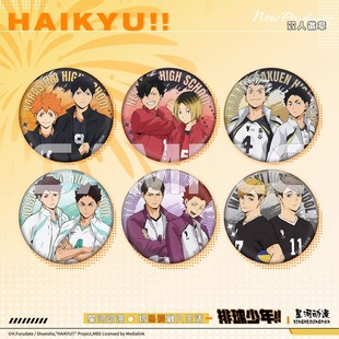 排球少年日向翔阳影山飞雄组合人物徽章吧唧动漫周边 X11