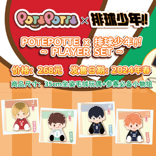 万代南梦宫POTEPOTTE排球少年坐姿毛绒玩偶周边公仔 X11