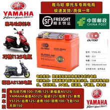 摩托车电瓶雅马哈巧格125福喜迅鹰巡鹰天剑125飞致150天剑250电池