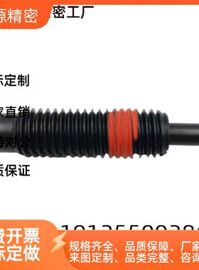 PJL16/20/24/30-10/20/30/40/50/60/70弹簧柱塞定位伸缩销 ZAP11