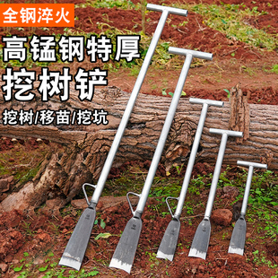 全钢淬火锻打高锰钢挖树铲挖树锹洛阳铲长柄移苗挖坑挖洞园艺工具
