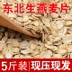 东北生燕麦片 农家纯麦片原味天然五谷杂粮需煮生燕麦片 煮粥熬