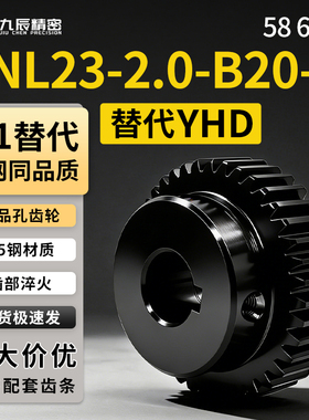 直齿轮 VNL23-2.0-58 60-B20-B-P12 P13 P14 P15 P16 P17 P18