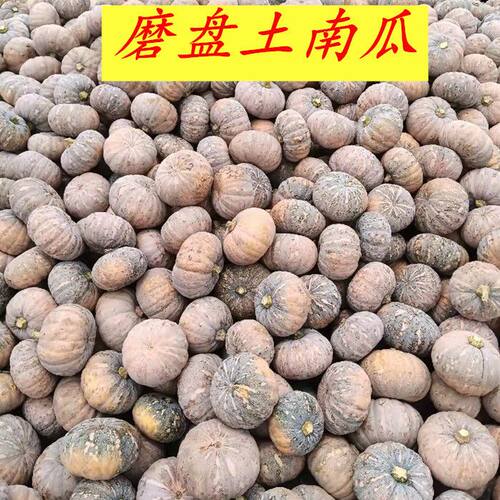 农民自种新鲜磨盘老南瓜甜糯南瓜宝宝辅食老少皆宜现摘现发老南瓜