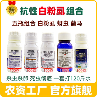 【抗性白粉虱组合】专治各种抗性白粉虱蚜虫蓟马杀虫杀卵杀虫剂药