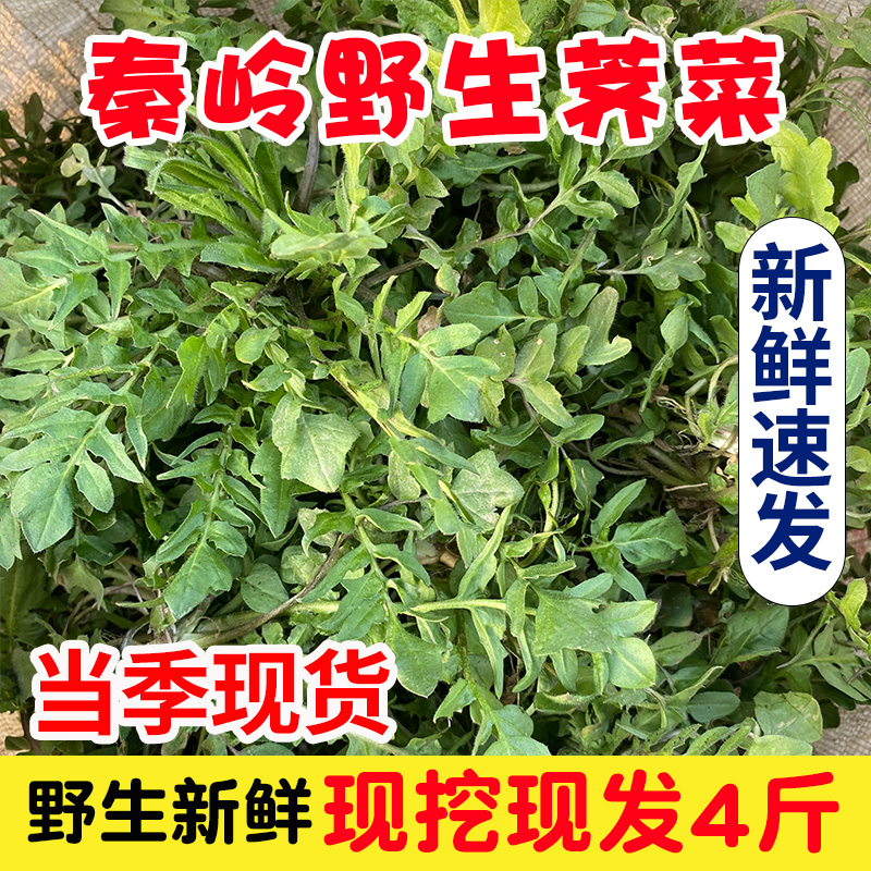 秦岭野生荠菜陕西农村野菜新鲜现挖荠菜4斤地菜丁蔬菜饺子馅包邮怎么看?