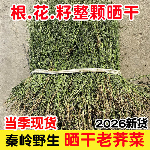 2026新晒干野生老荠菜整颗带花