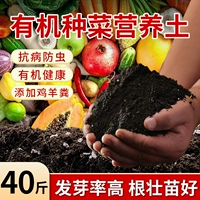 40 фунтов овощей для овощей [высокий уровень прорастания хороша для скорости прорастания]