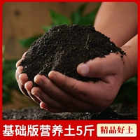 Основная версия питания 5 кот