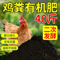 Ферментированный куриный навоз Органические удобрения 40 Catties