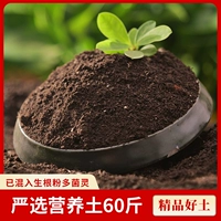 Выберите 60 фунтов пищевой почвы.