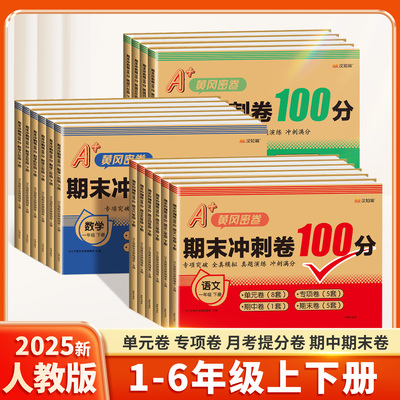 【2025新版】冲刺100分测试卷