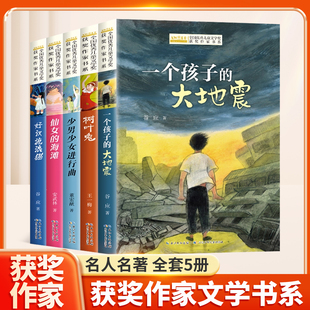 全国优秀儿童文学获奖作家书系全套5册一个孩子 海滩好汉流浪猫三四五年级小学生课外阅读书籍 大地震树叶兔少男少女进行曲仙女