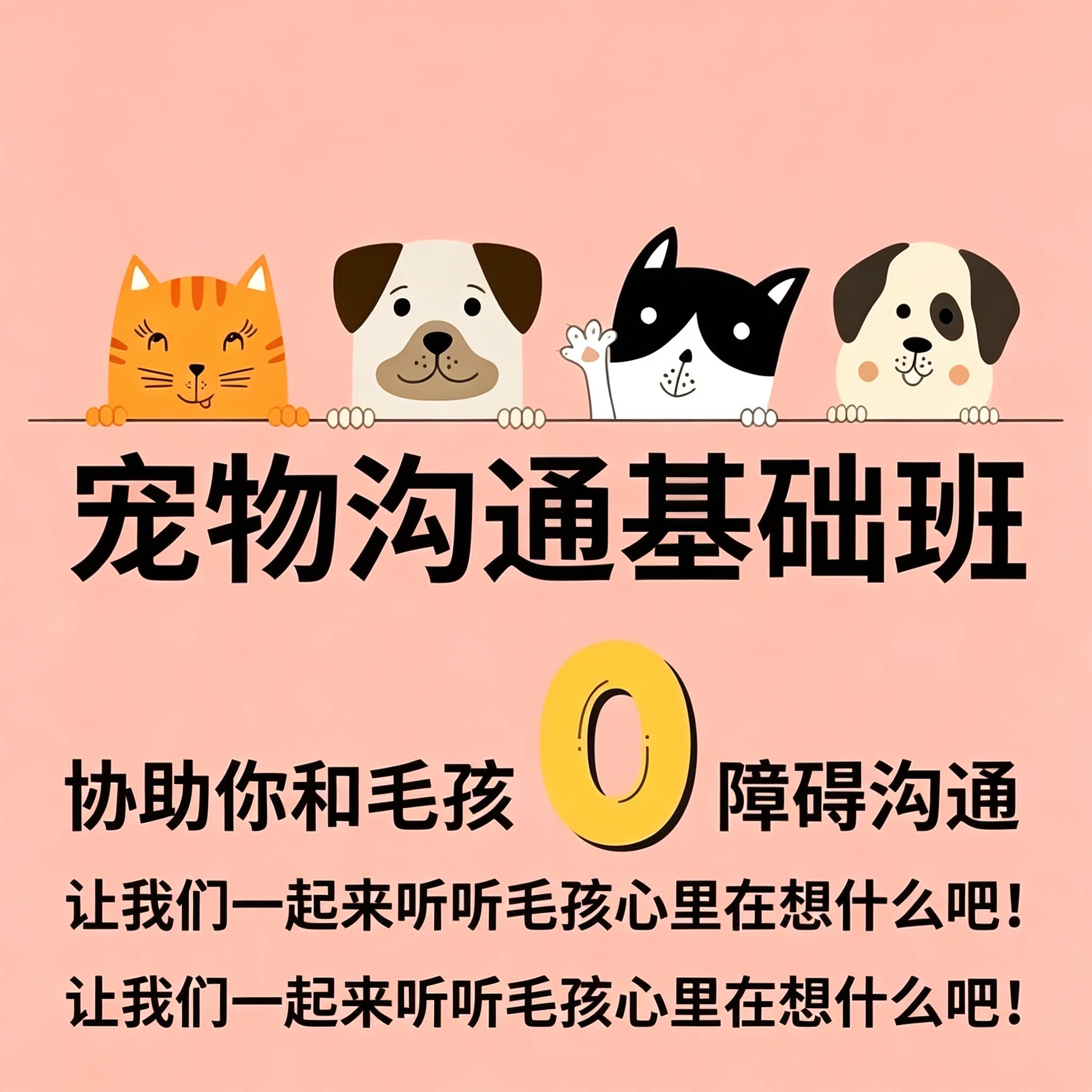 宠物沟通零基础课程读懂猫狗情绪心灵交流入门教学教程
