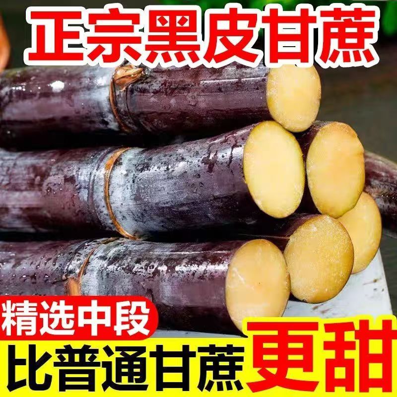 广西黑皮甘蔗9斤精选中段新鲜孕妇水果应当季脆甜多汁甜杆蔗特产