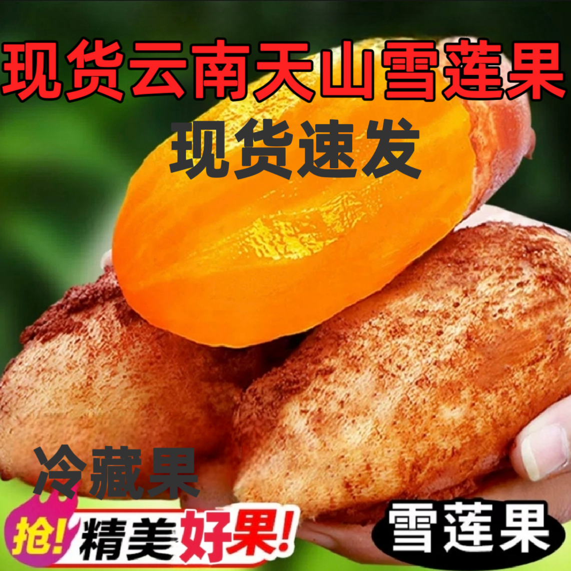 现货！云南天山雪莲果新鲜水果当季应季黄心9斤装孕妇大果红泥5