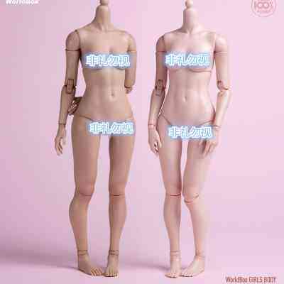 现货worldbox 1/6兵人女素体关节可动 标准版 at201 肥腿版at202