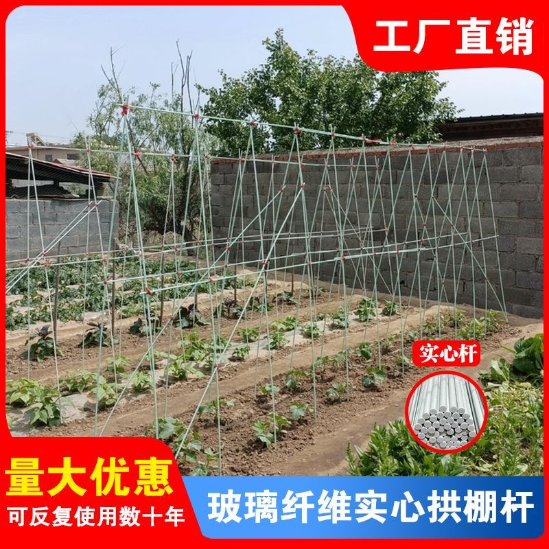 丝瓜爬藤架支撑杆竹竿玻璃纤维杆黄瓜架番茄花架小苗搭棚西红柿棒