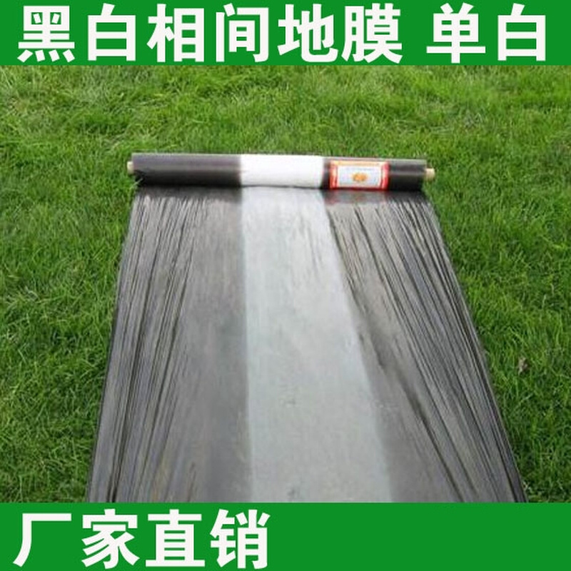 极速品农用加厚银k白色地膜除草膜黑白相间防虫塑料薄膜果树蔬菜