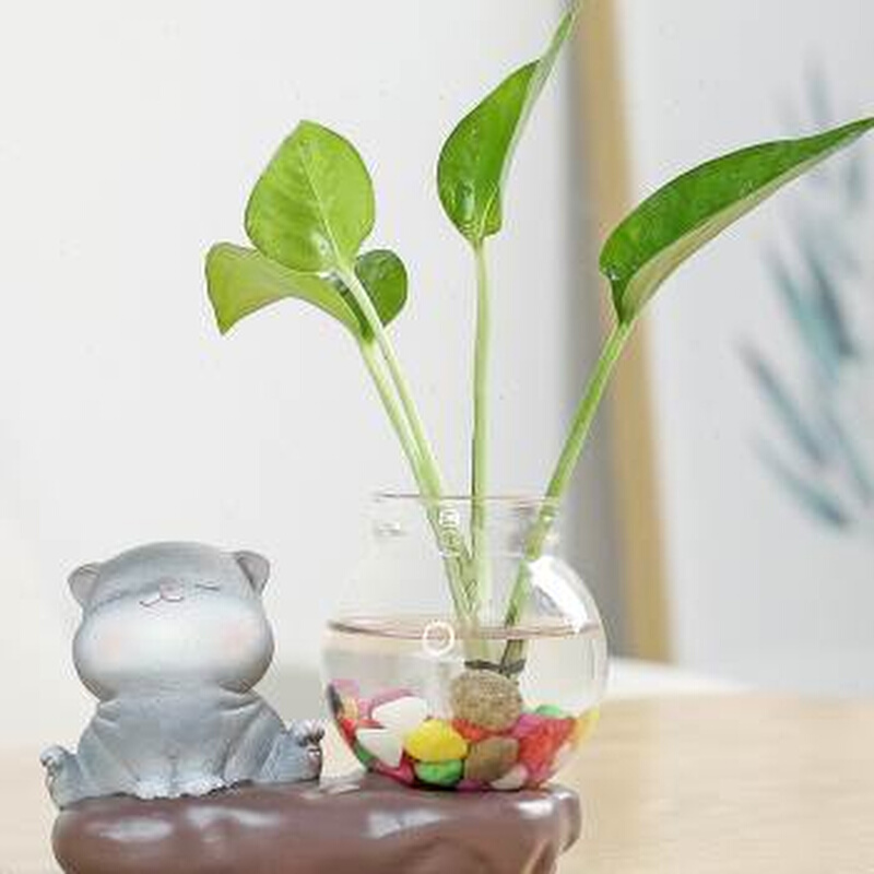 宇轩创意玻璃摆件动物小花器花盆茶桌绿萝花插花瓶陶瓷水培容器架