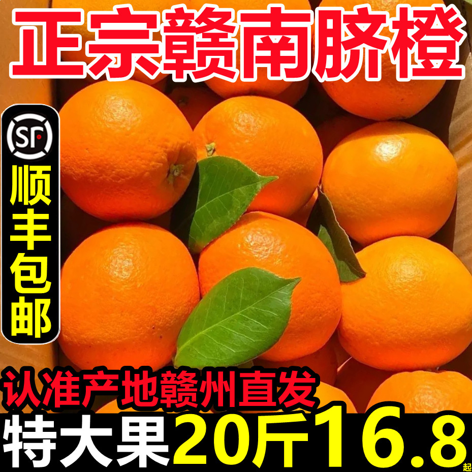 顺丰包邮！正宗江西赣州赣南脐橙