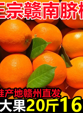 新鲜采摘正宗江西赣南脐橙当季水果赣州直发手剥甜橙子特大果10斤